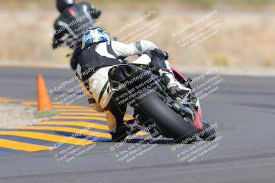 media/Oct-09-2022-SoCal Trackdays (Sun) [[95640aeeb6]]/Turn 14 Backside (1125am)/